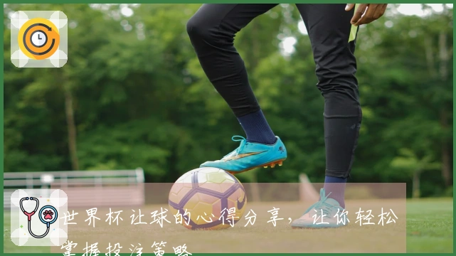 世界杯让球的心得分享，让你轻松掌握投注策略