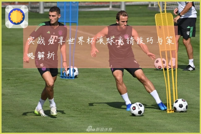 实战分享世界杯滚球竞猜技巧与策略解析